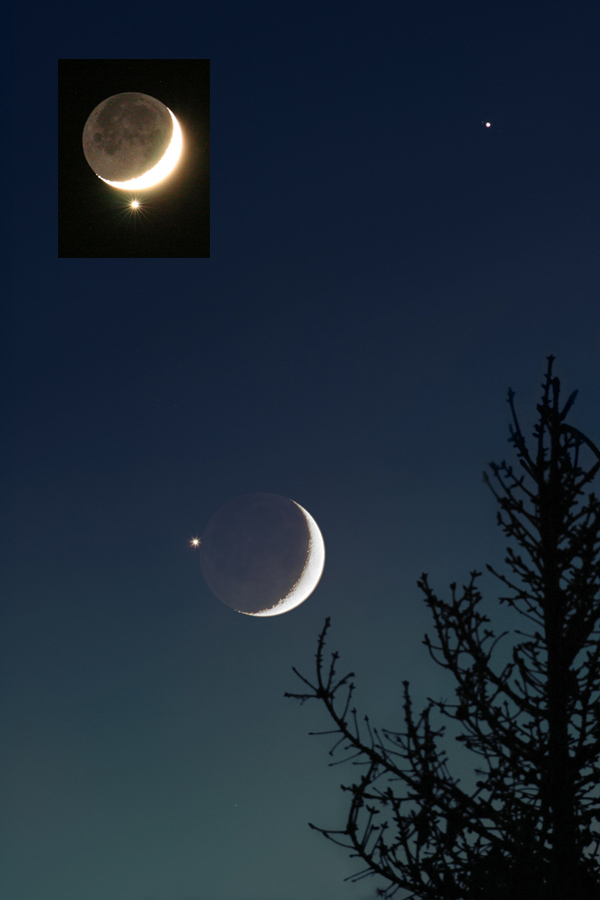 Venus in the Moon