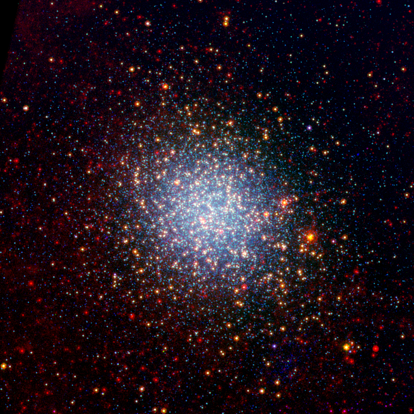 The Giants of Omega Centauri