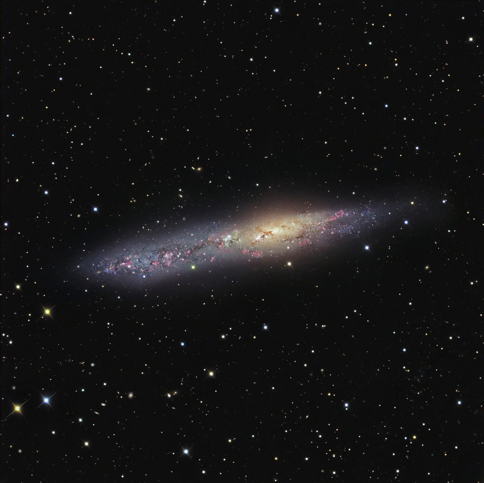 Irregular Galaxy NGC 55