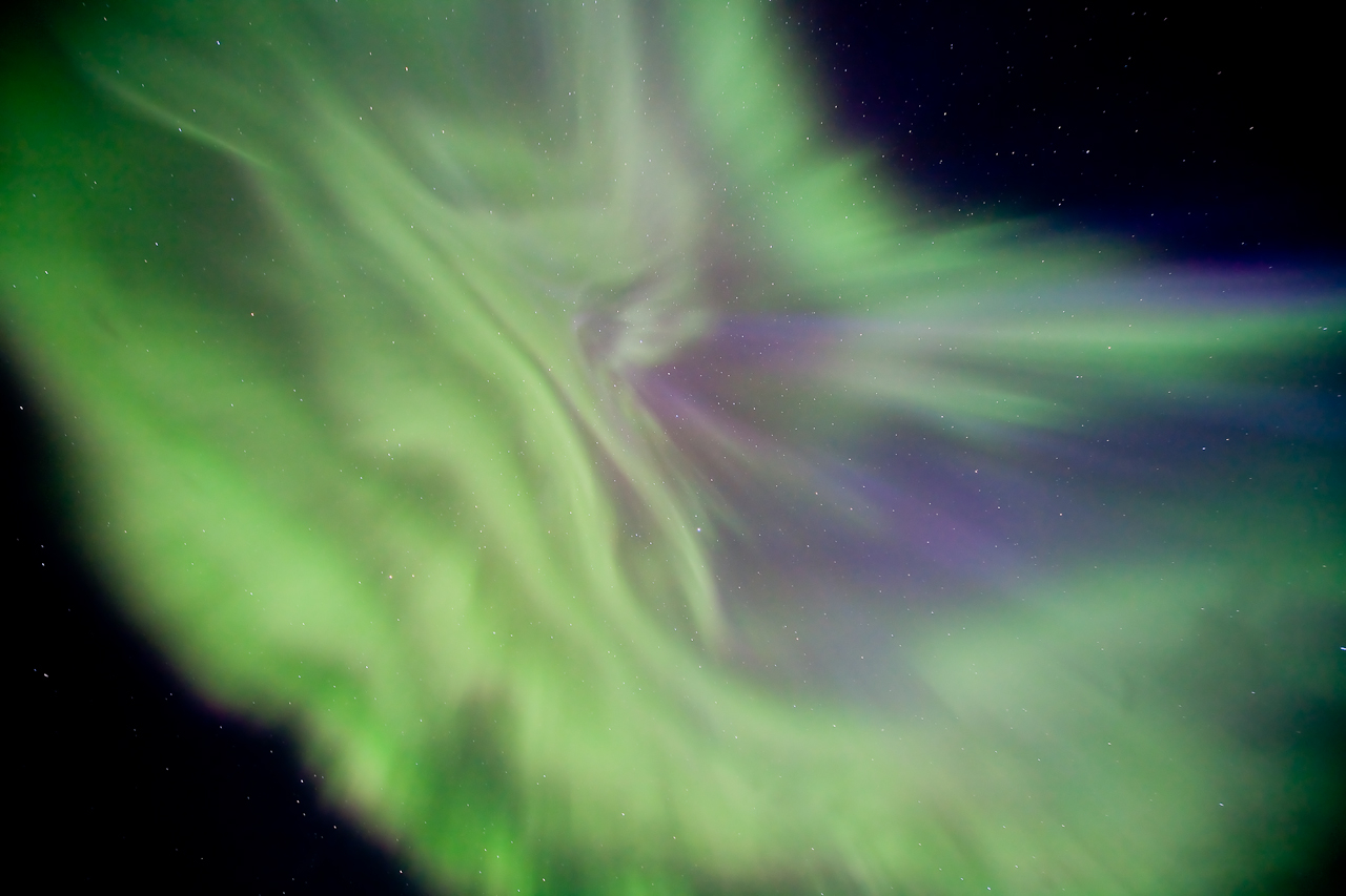 A Floral Aurora Corona