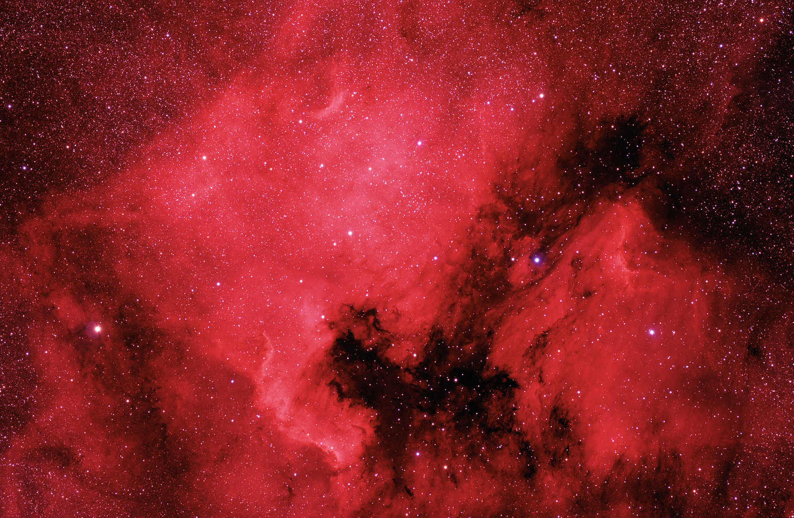 The North America and Pelican Nebulae