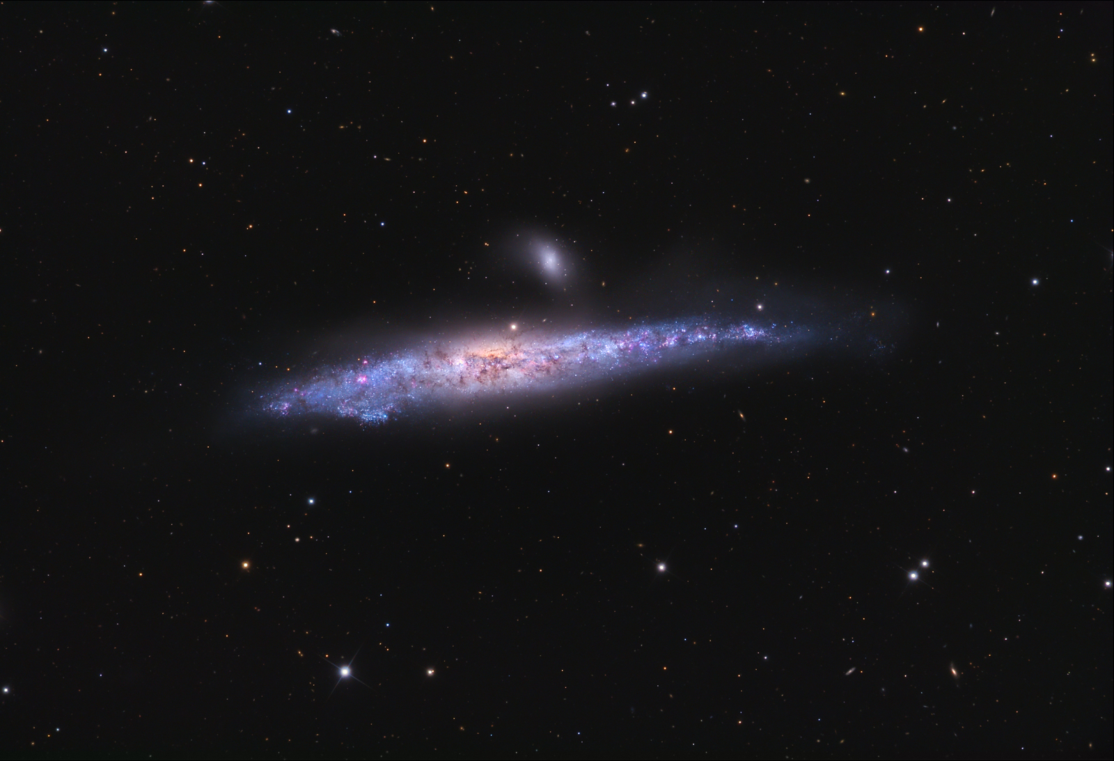 The Whale Galaxy