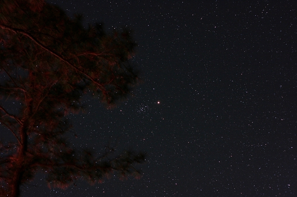 Mars in a Manger