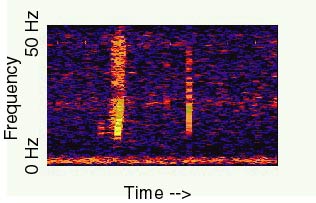 The Bloop: A Mysterious Sound from the Deep Ocean