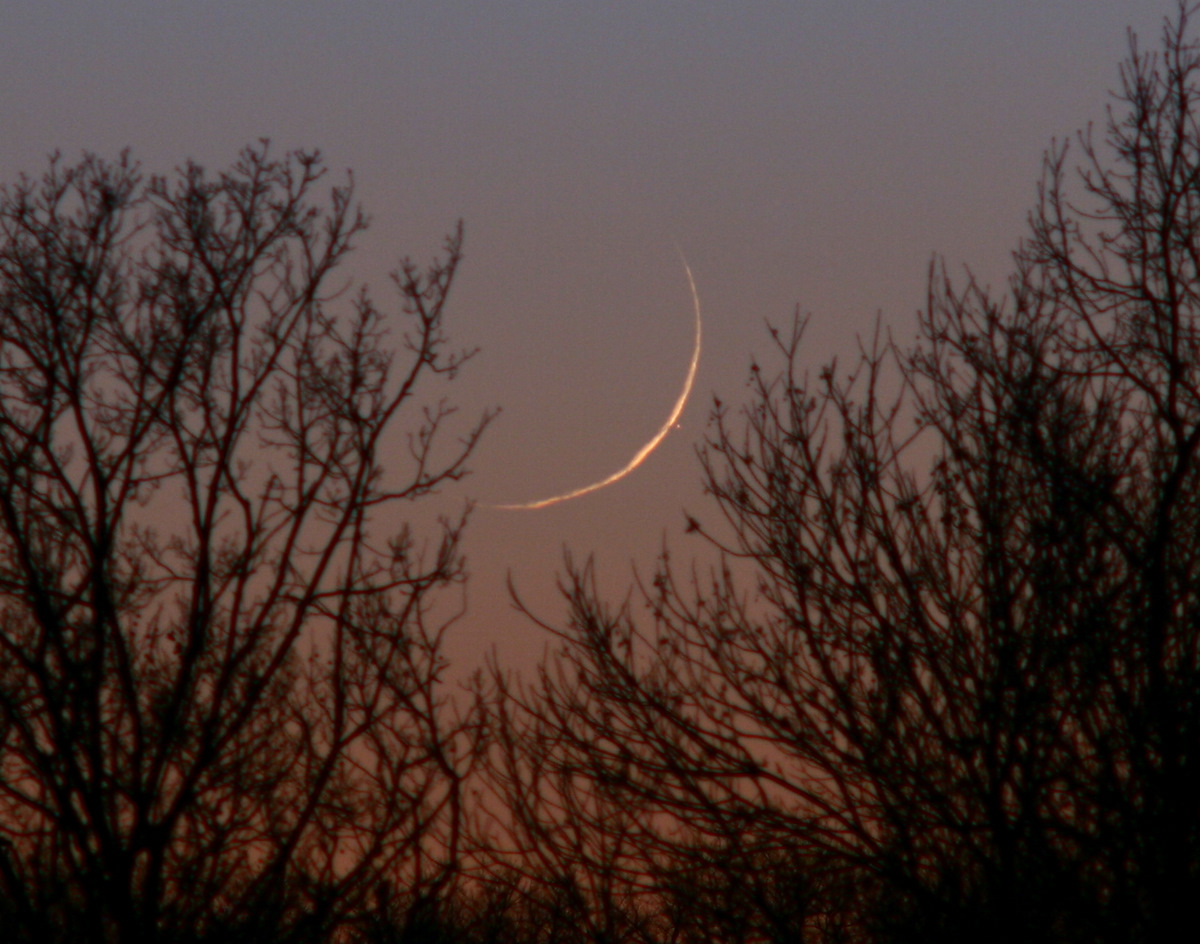 A Twilight Occultation