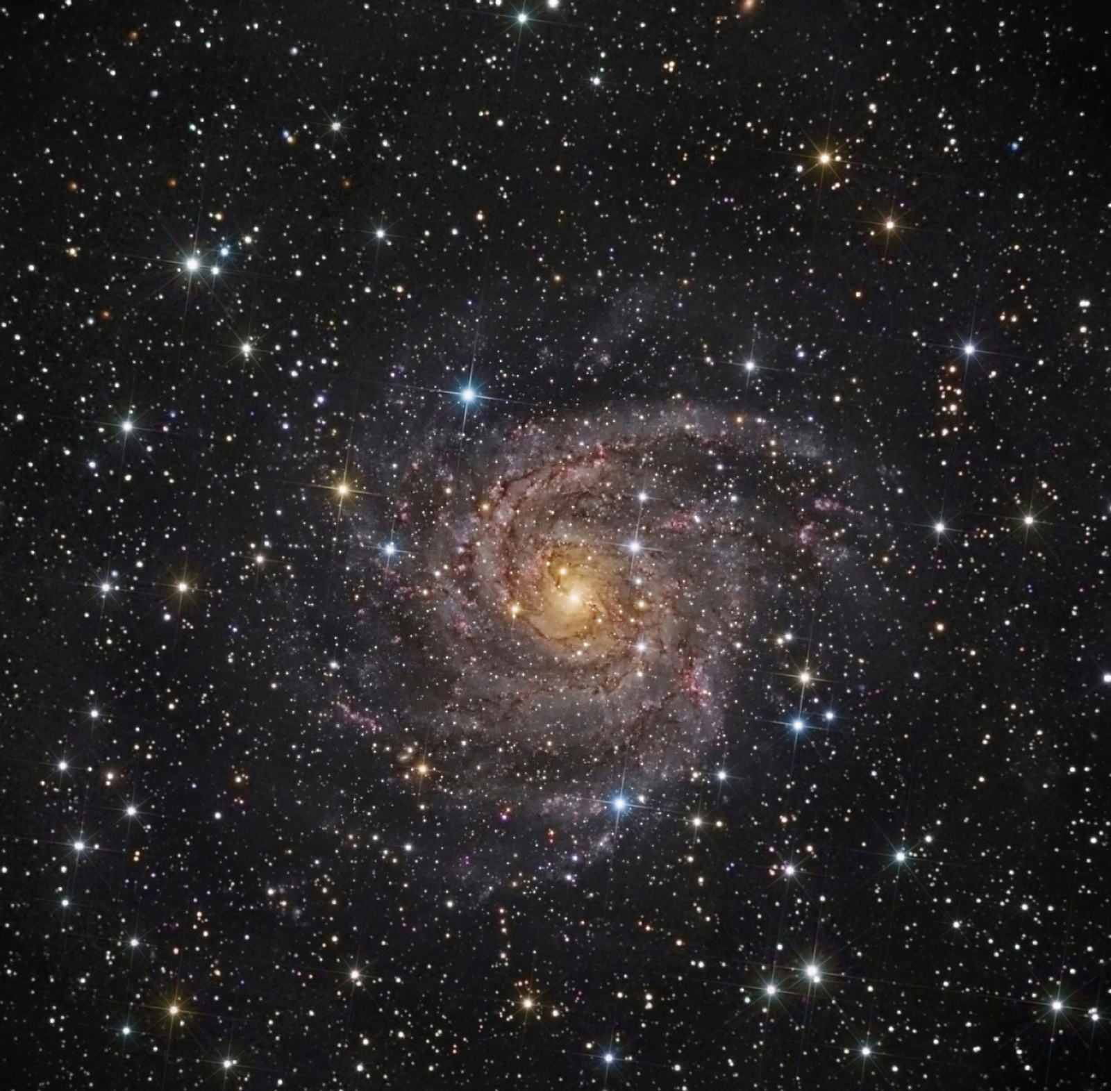 Hidden Galaxy IC 342