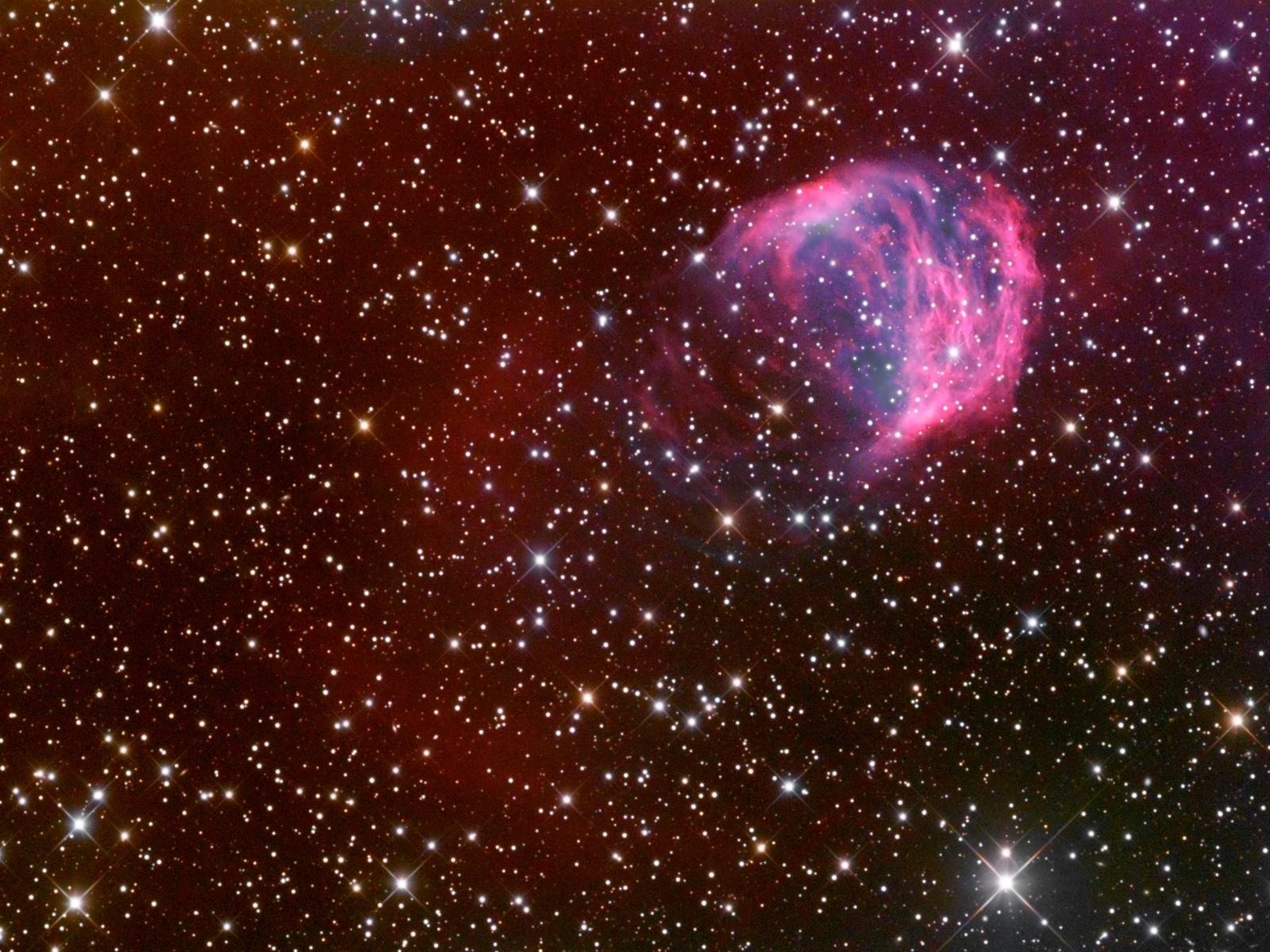 The Medusa Nebula