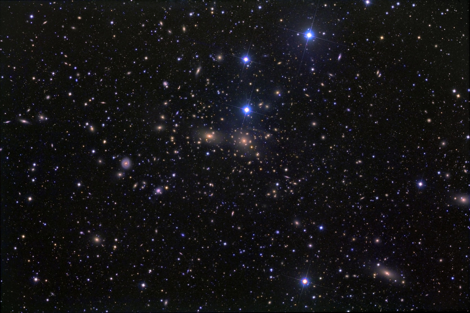The Coma Cluster of Galaxies