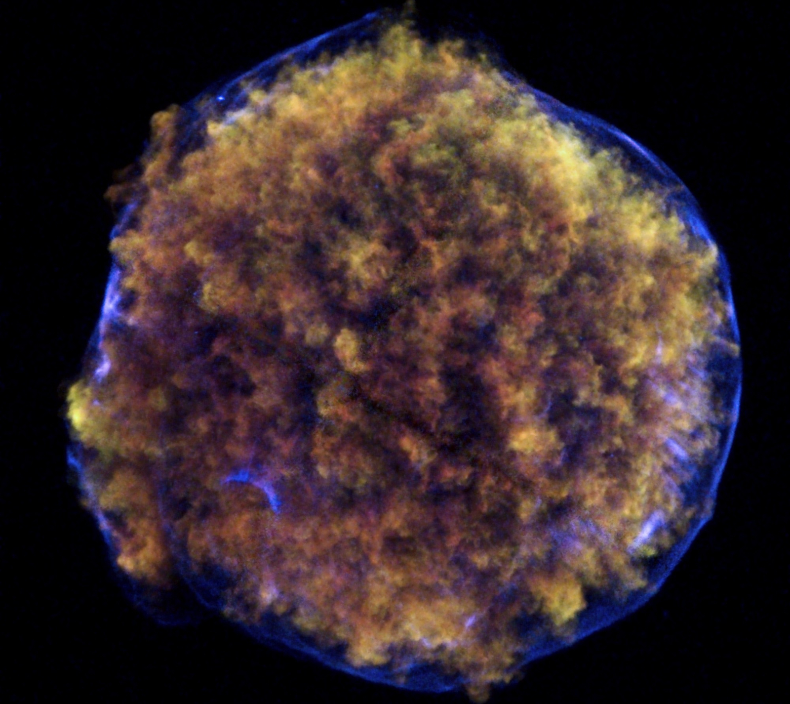 Tycho's Supernova Remnant
