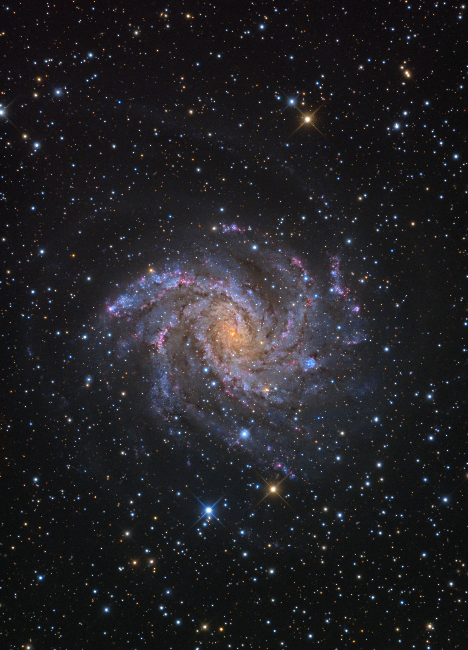 Fireworks Galaxy NGC 6946
