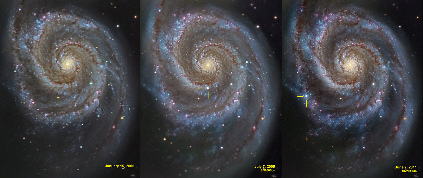 Supernovae in the Whirlpool