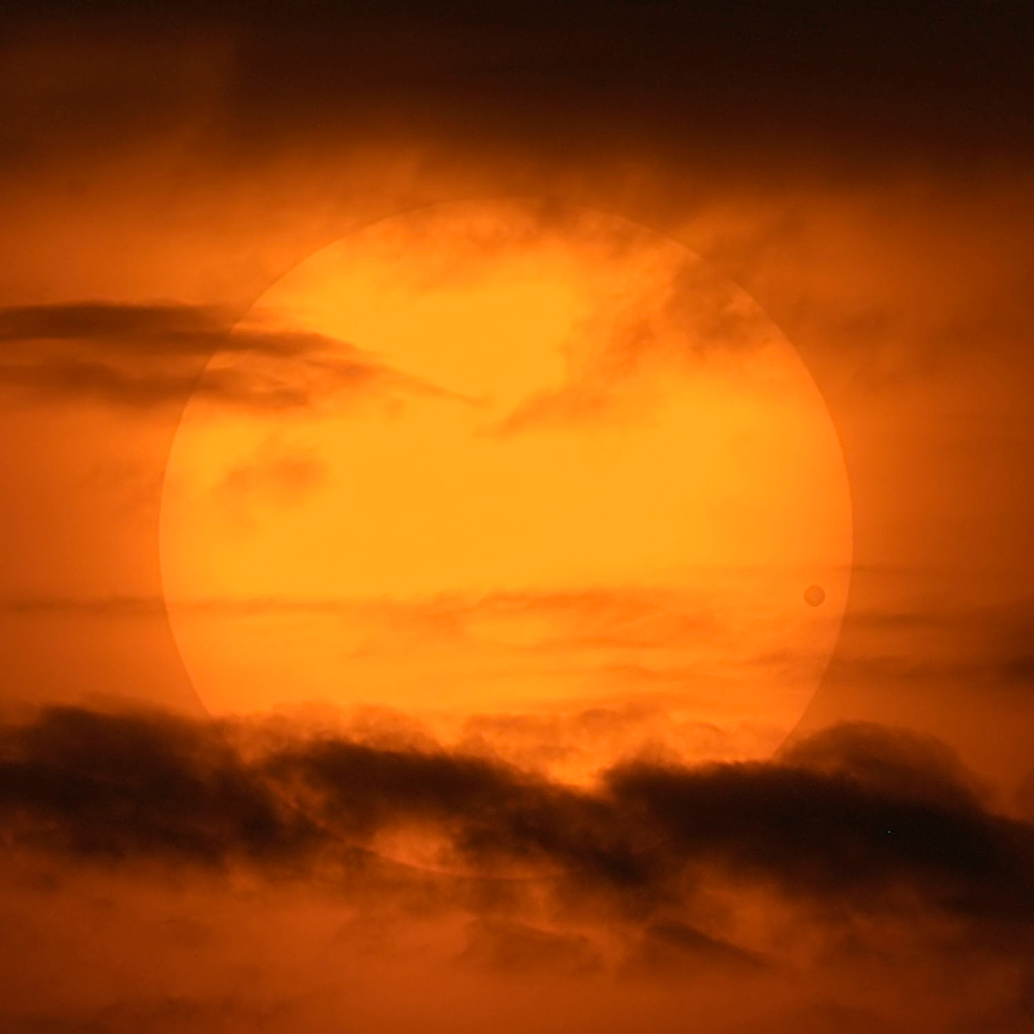 A Picturesque Venus Transit