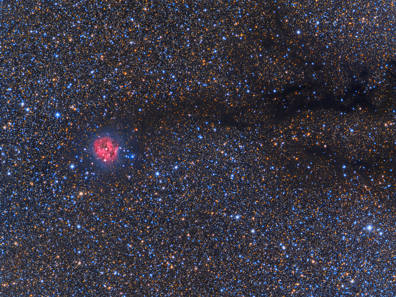 Cocoon Nebula Wide Field