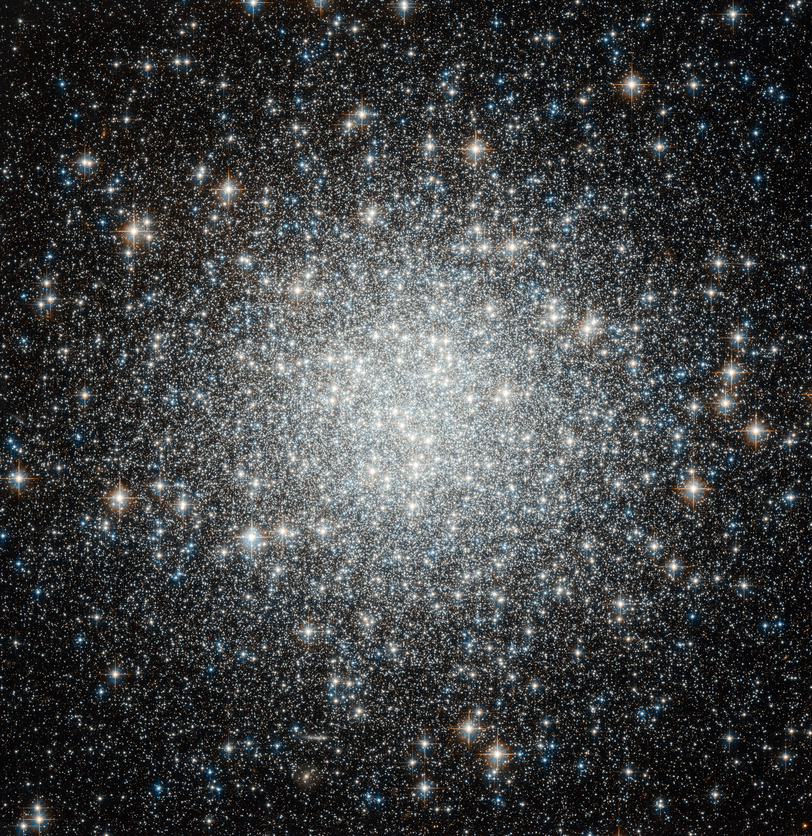 Blue Straggler Stars in Globular Cluster M53