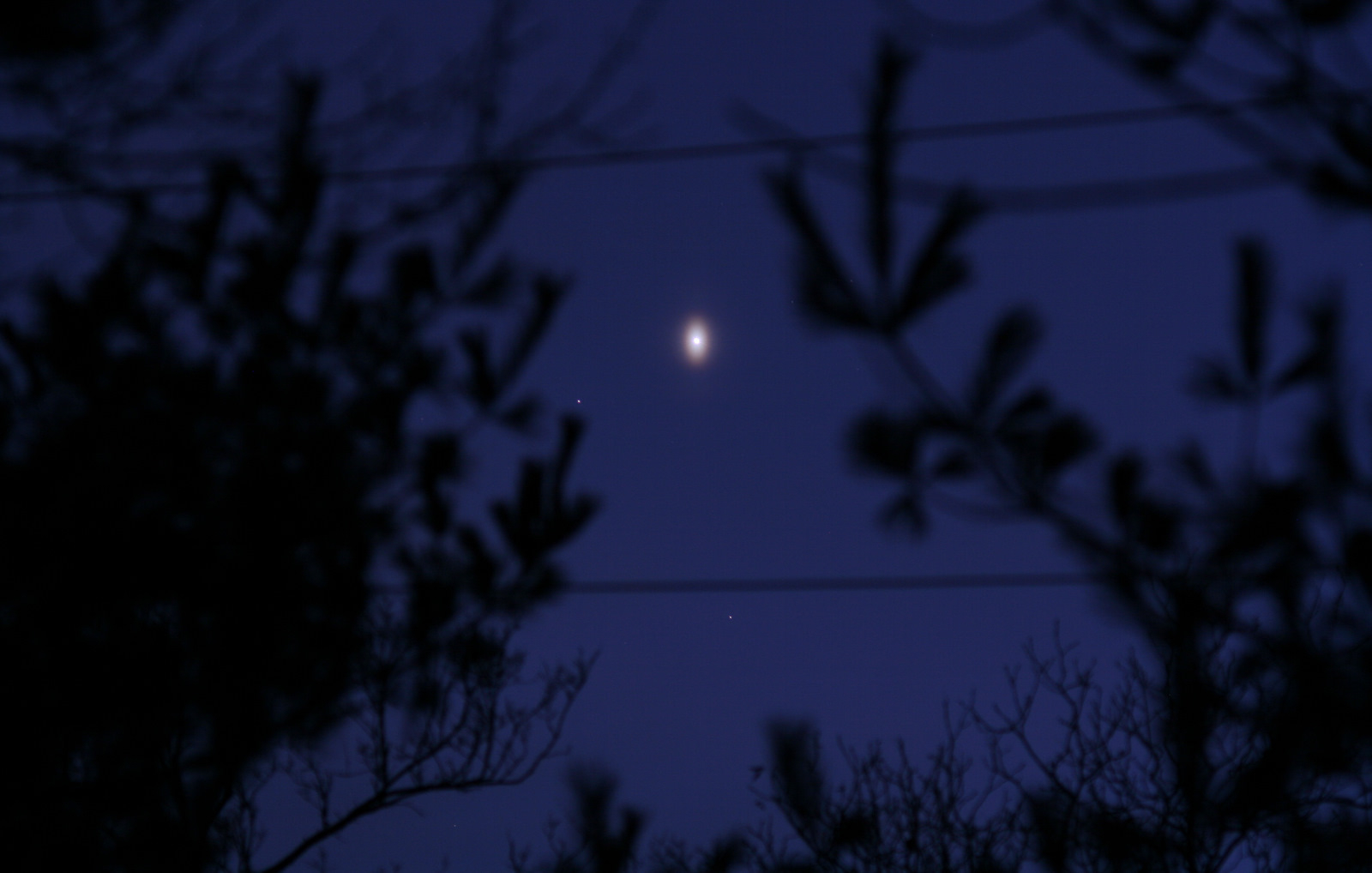 An Unusual Venusian Oval