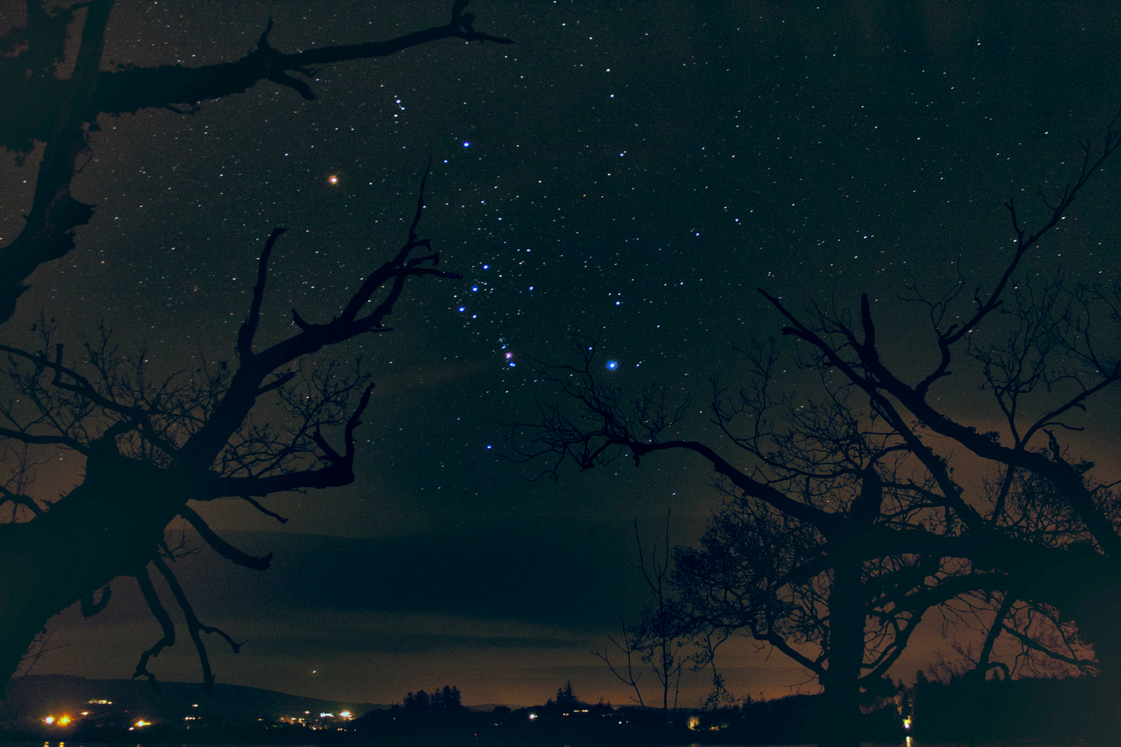 The Hunter's Stars