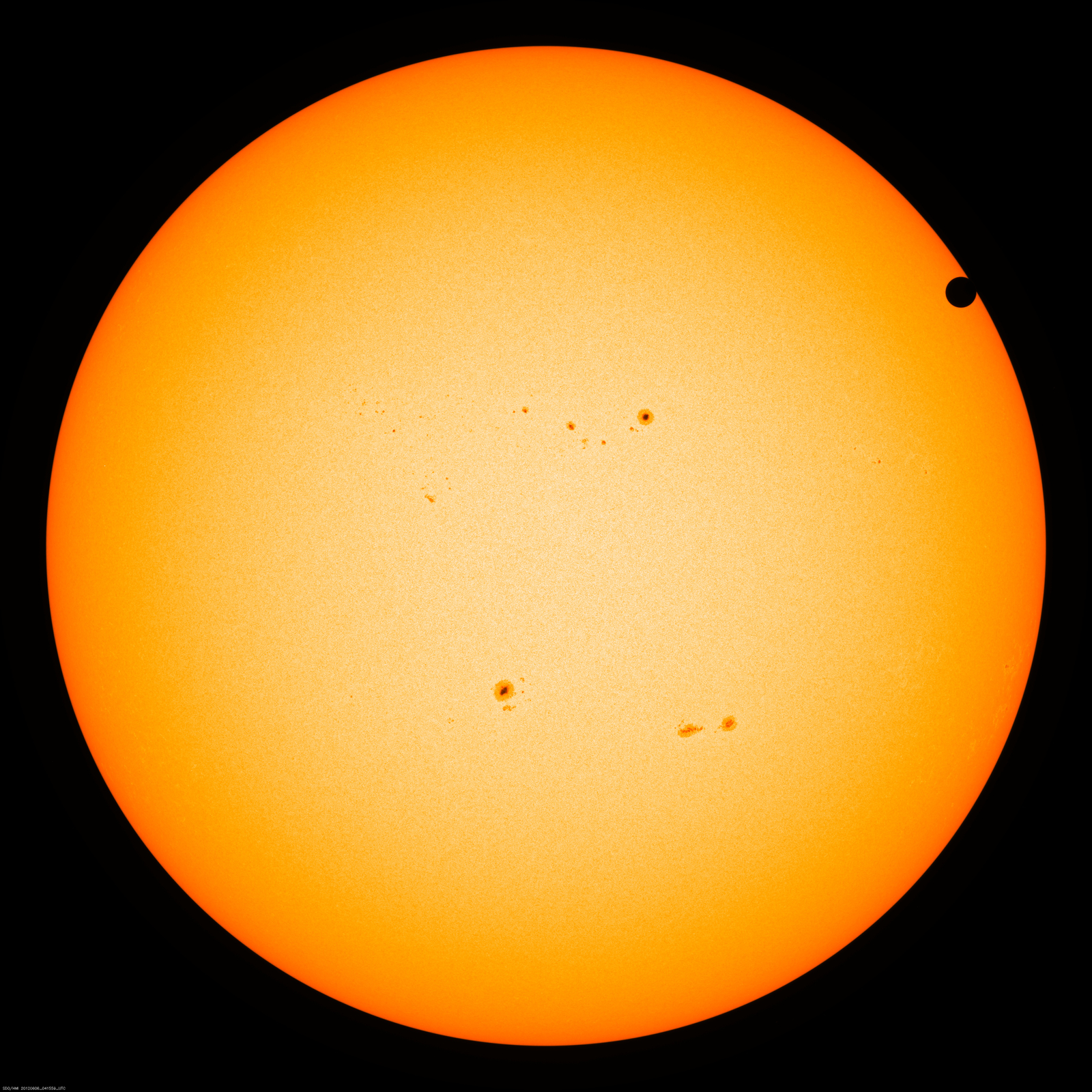 Live: Watching for Venus to Cross the Sun