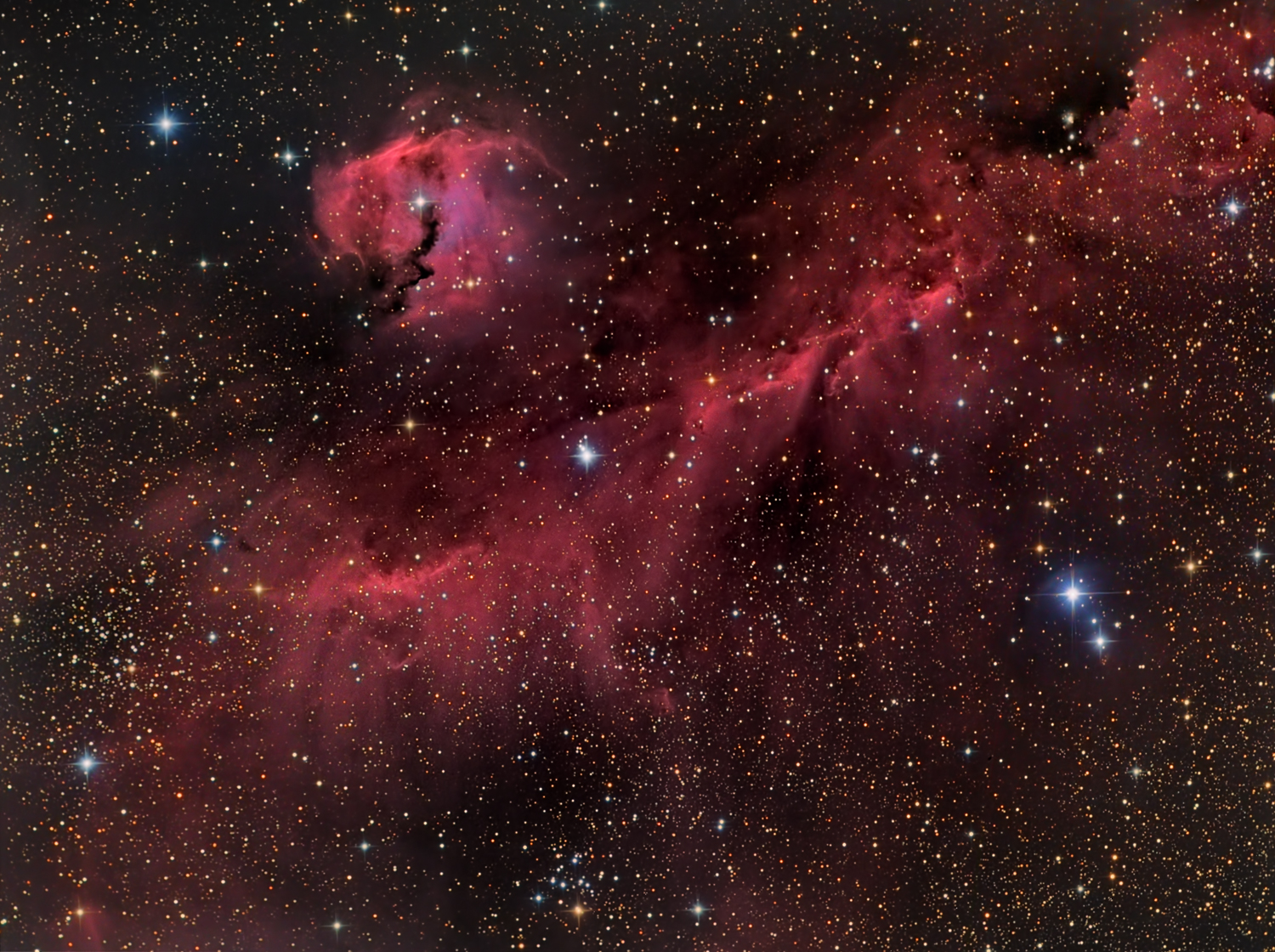 The Seagull Nebula