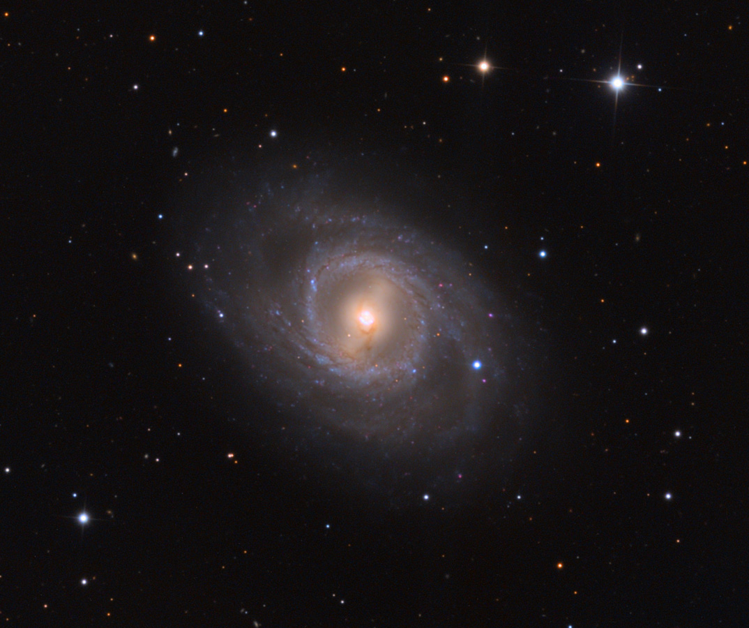 M95 with Supernova
