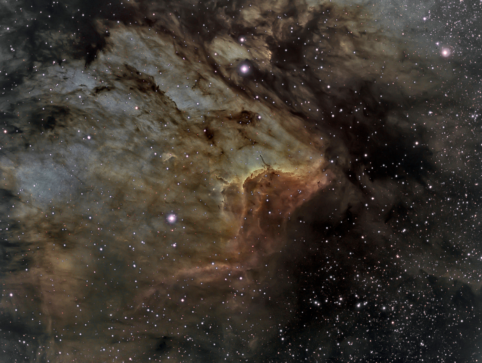 IC 5067 in the Pelican Nebula