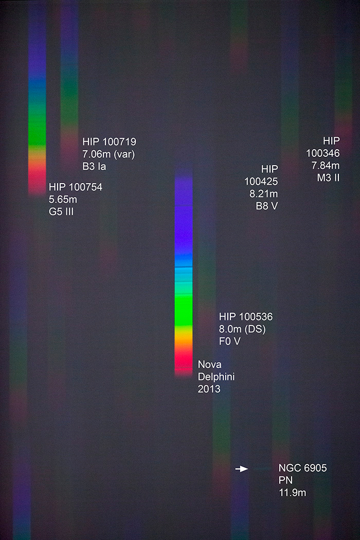 A Spectrum of Nova Delphini