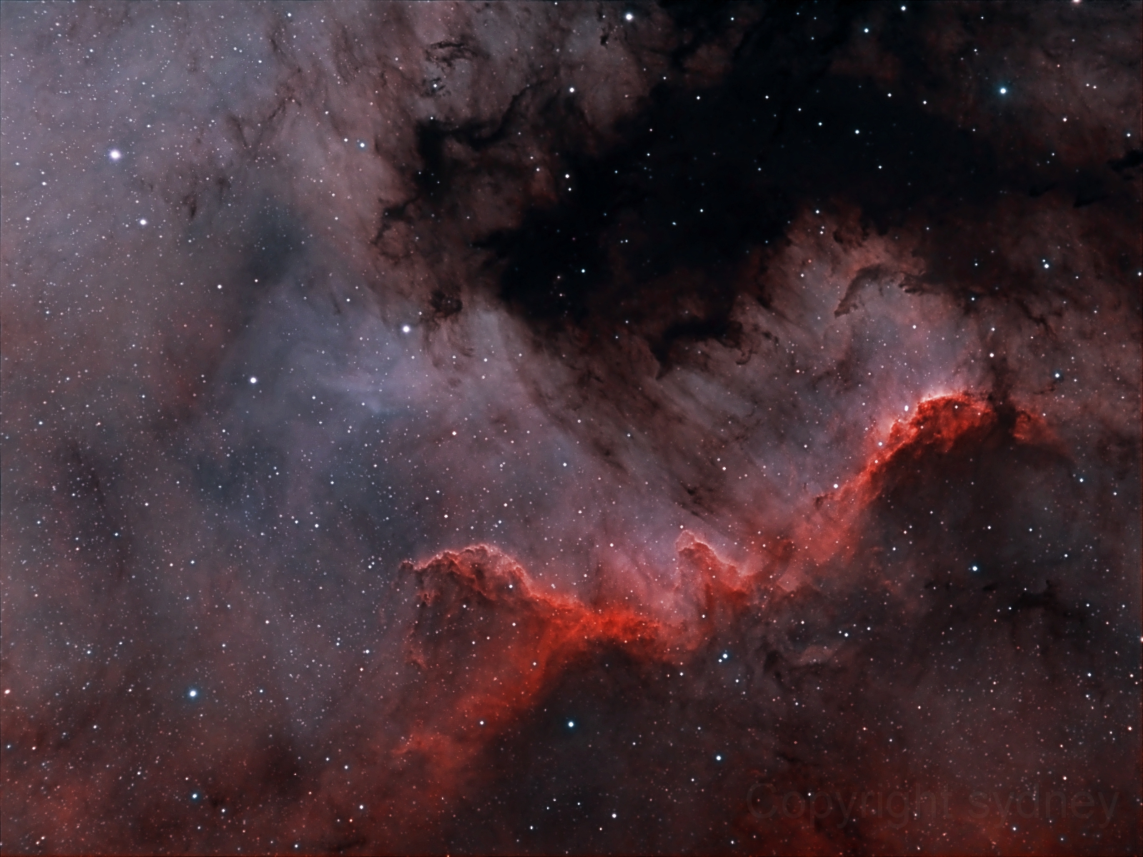 The Cygnus Wall of Star Formation
