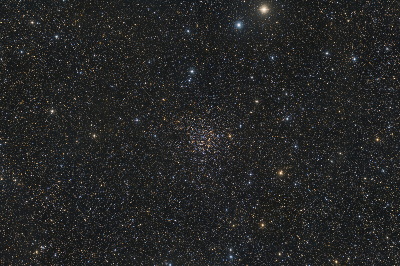 NGC 7789: Caroline's Rose