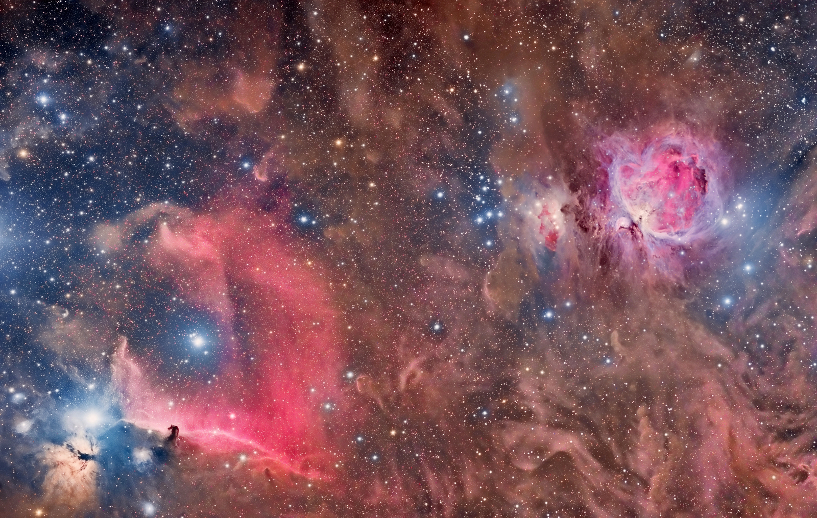 Horsehead and Orion Nebulas
