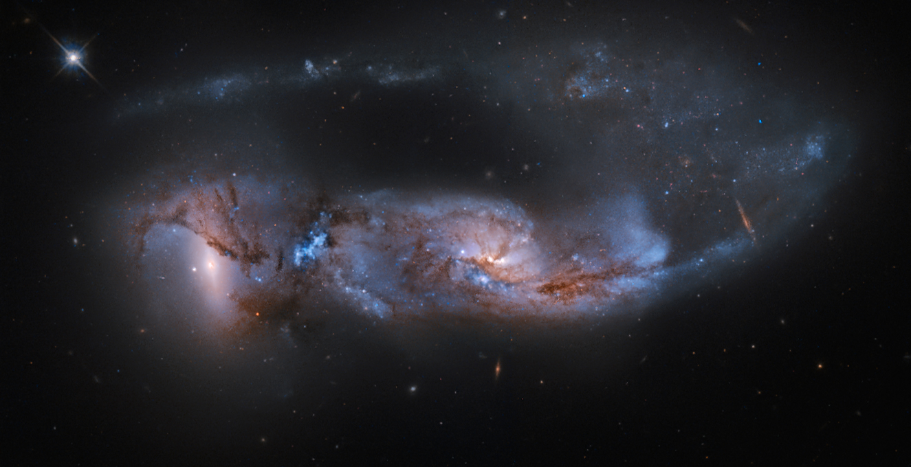 Arp 81: 100 Million Years Later
