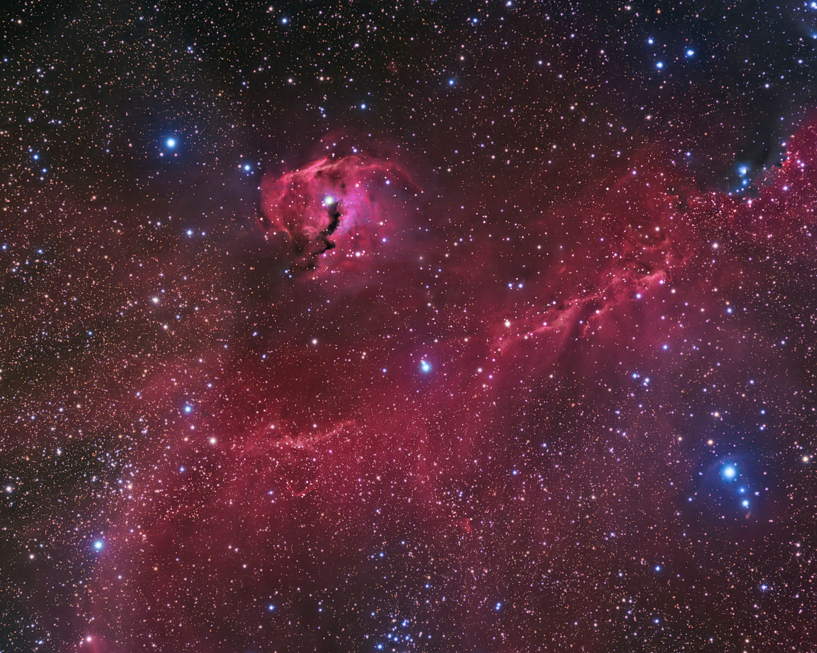 The Seagull Nebula