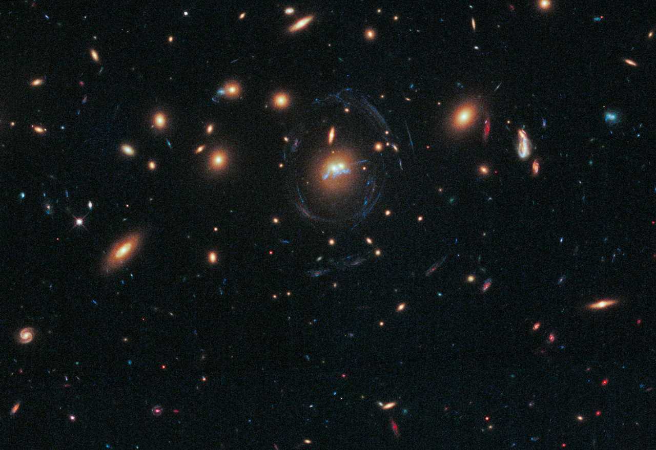 A Blue Bridge of Stars between Cluster Galaxies