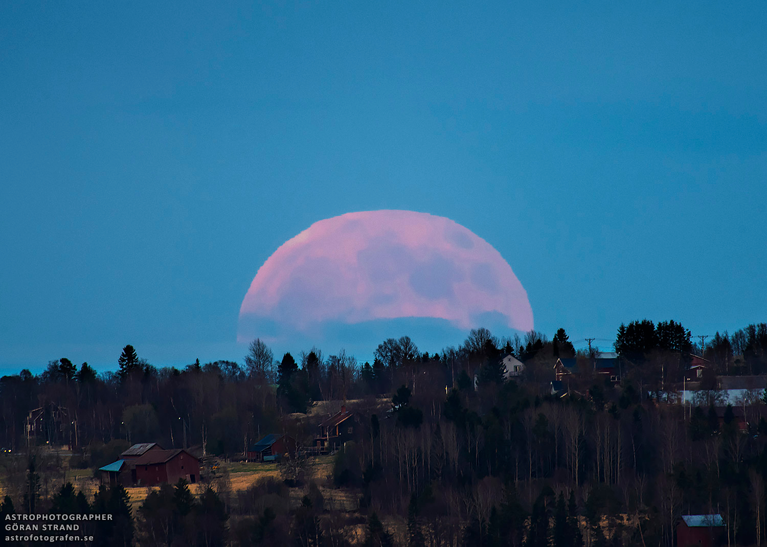A Strawberry Moon