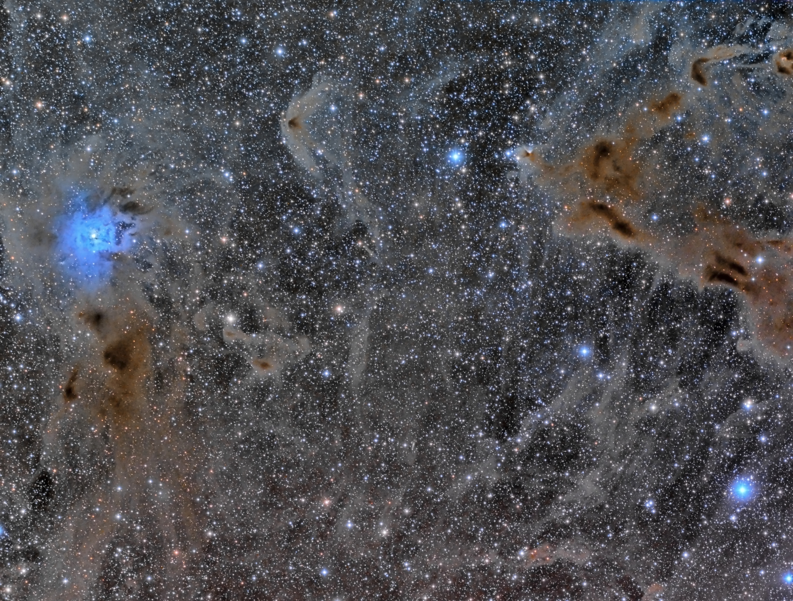 The Iris Nebula in a Field of Dust