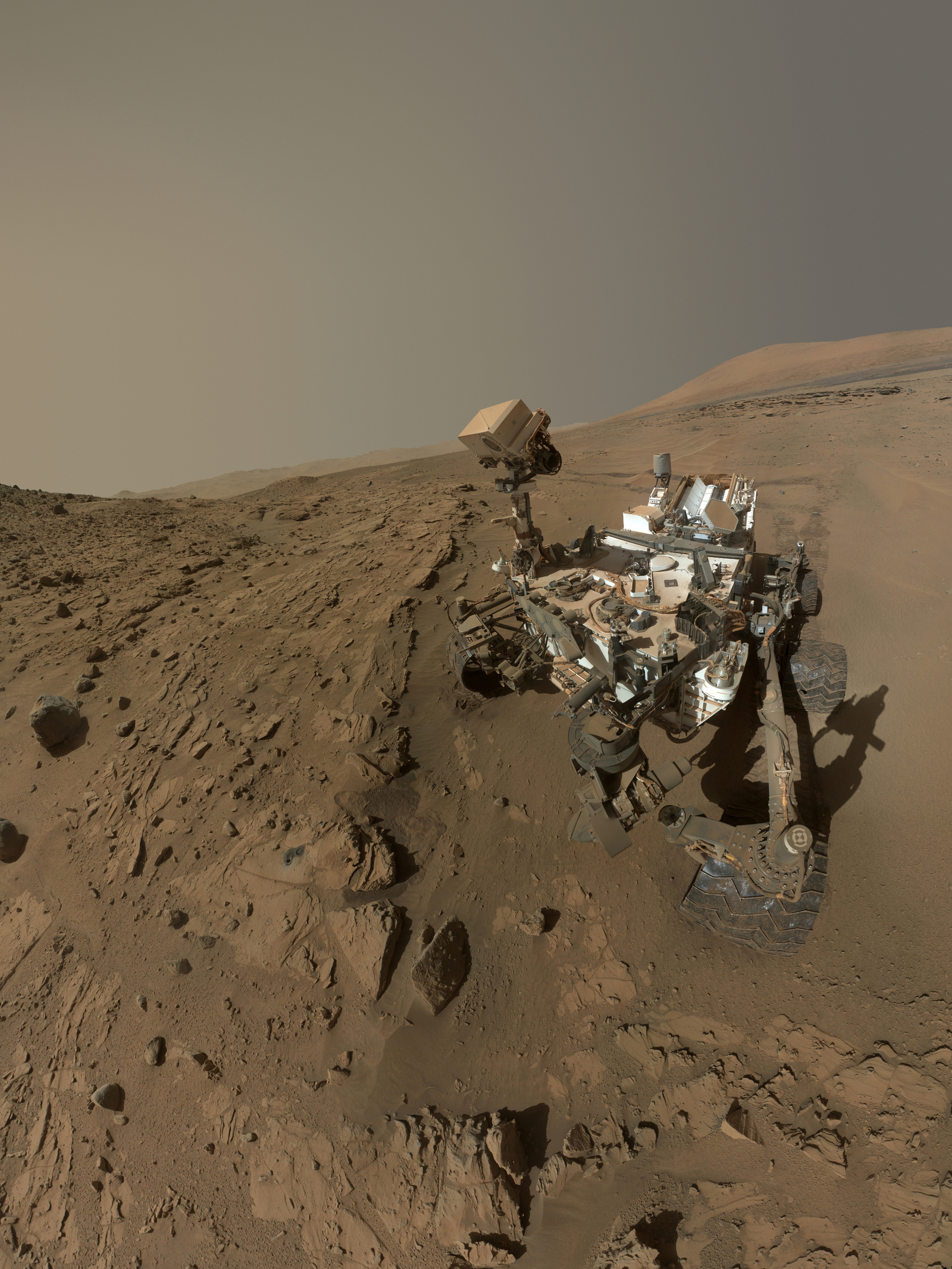 Martian Anniversary Selfie