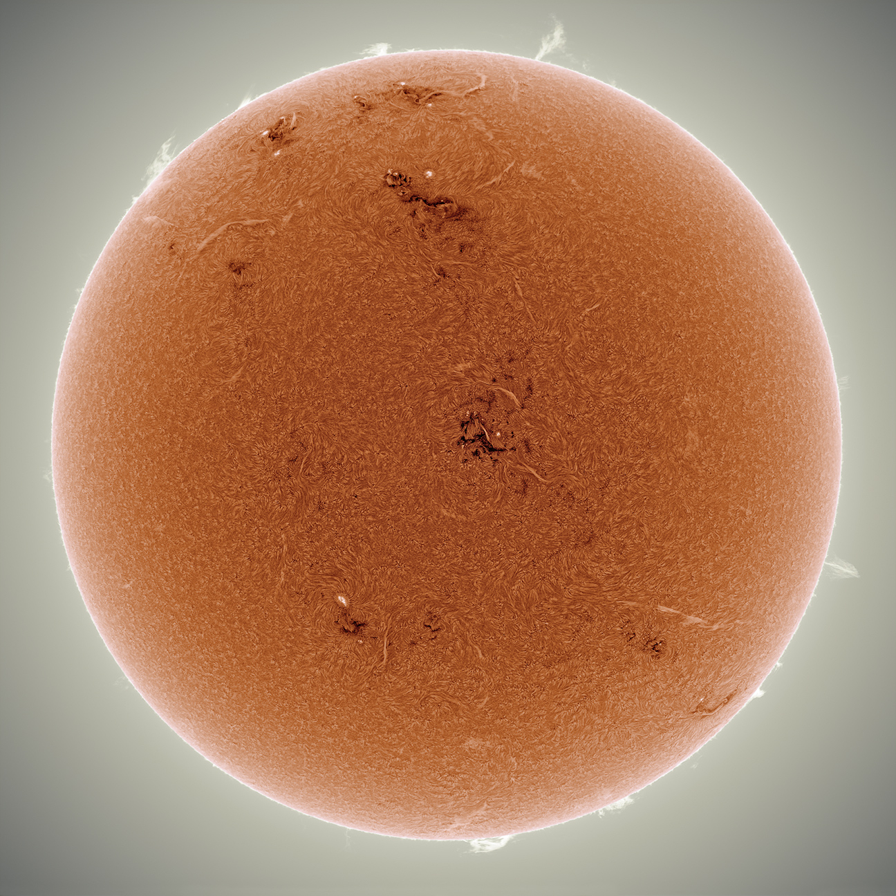 Orange Sun Sparking
