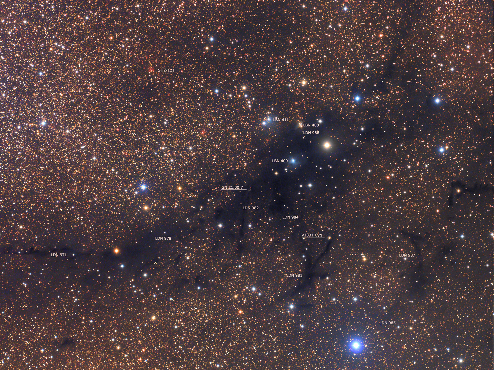 LDN 988: Dark Nebula in Cygnus