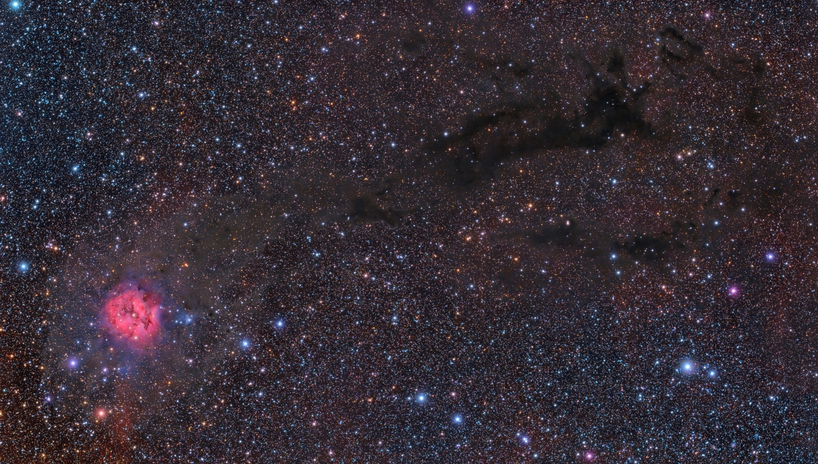 Cocoon Nebula Wide Field