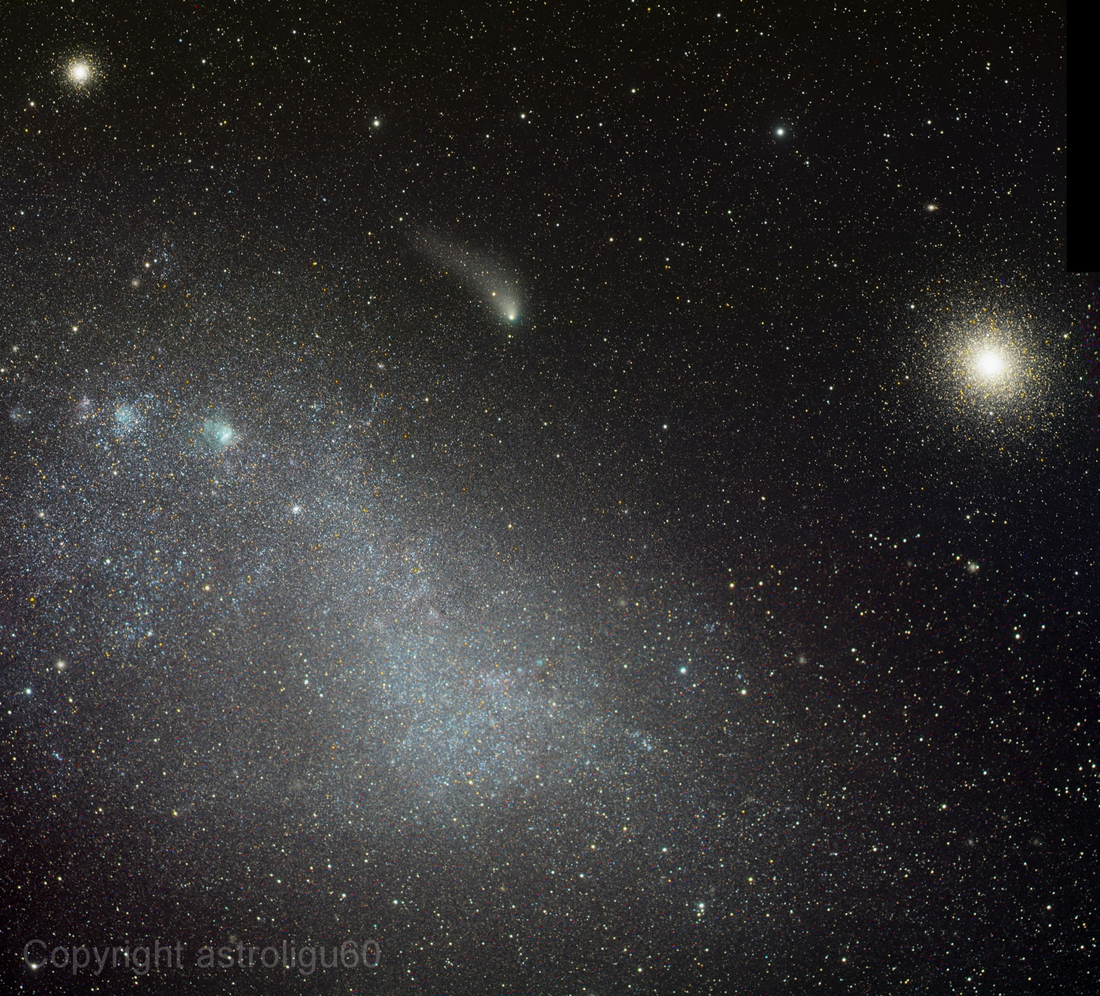 Cloud, Clusters and Comet Siding Spring