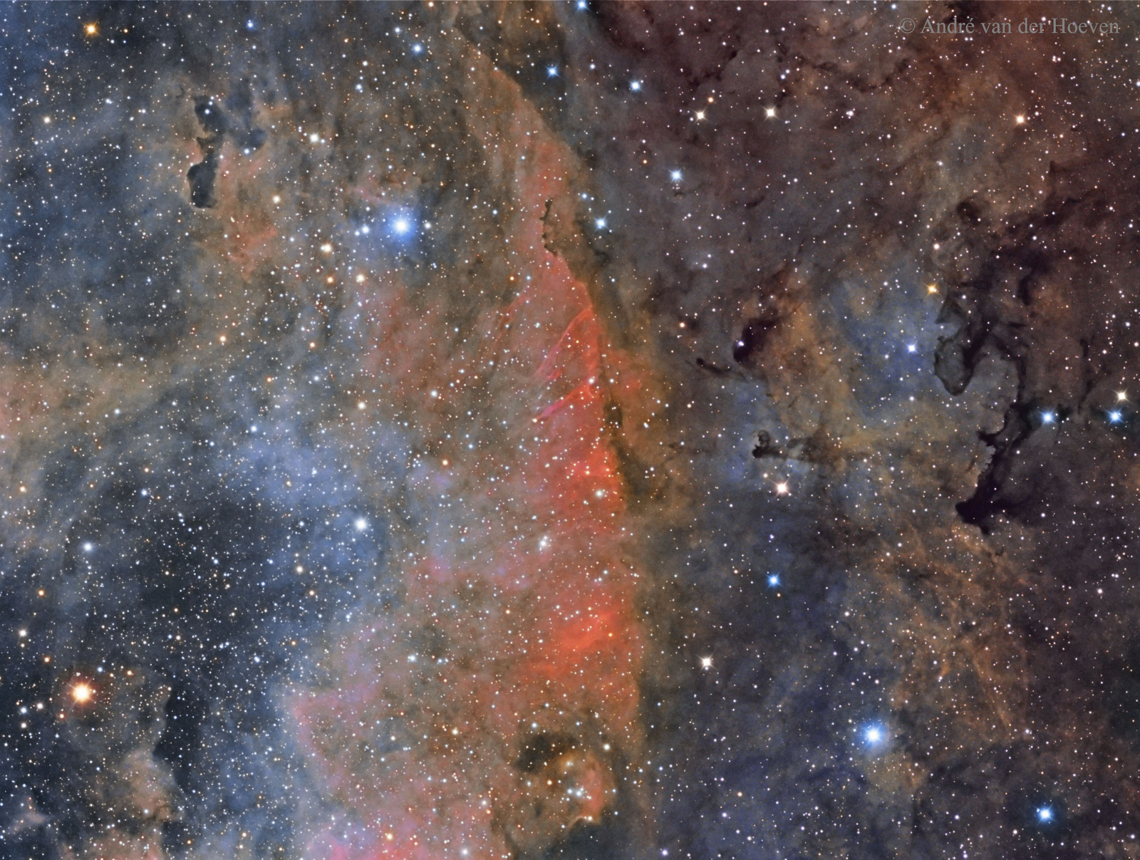 Colorful Star Clouds in Cygnus