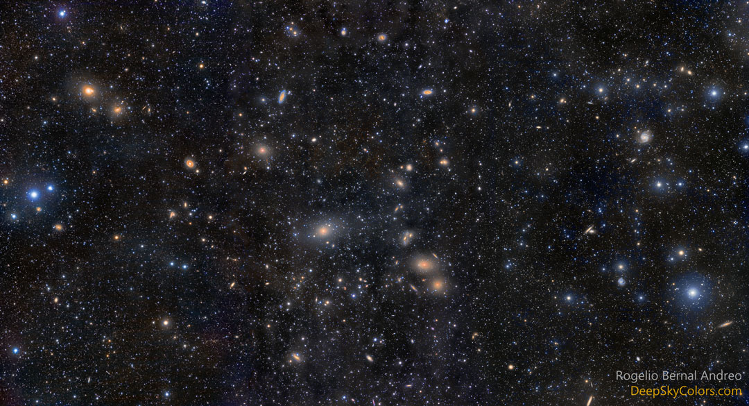 Virgo Cluster Galaxies