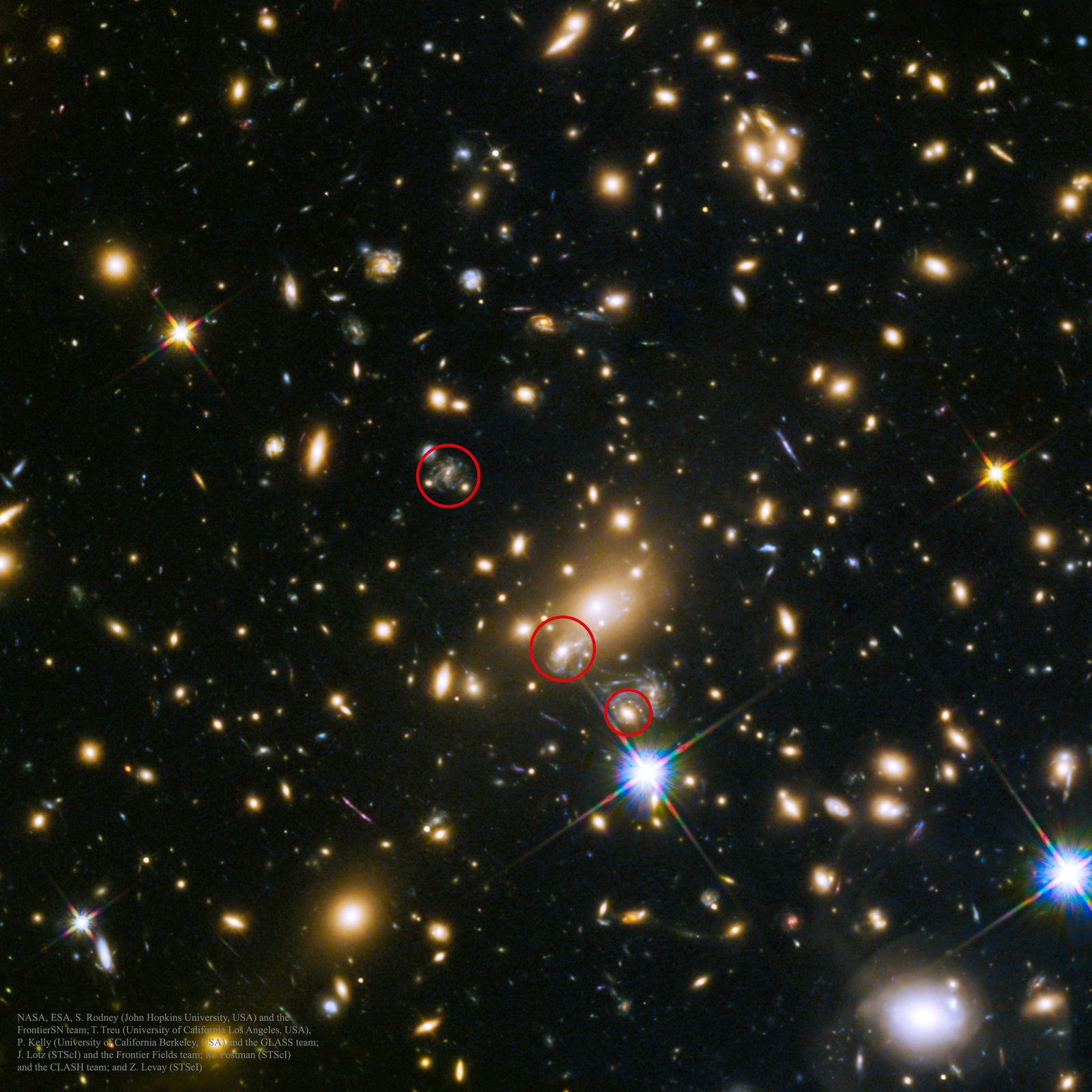 SN Refsdal: The First Predicted Supernova Image