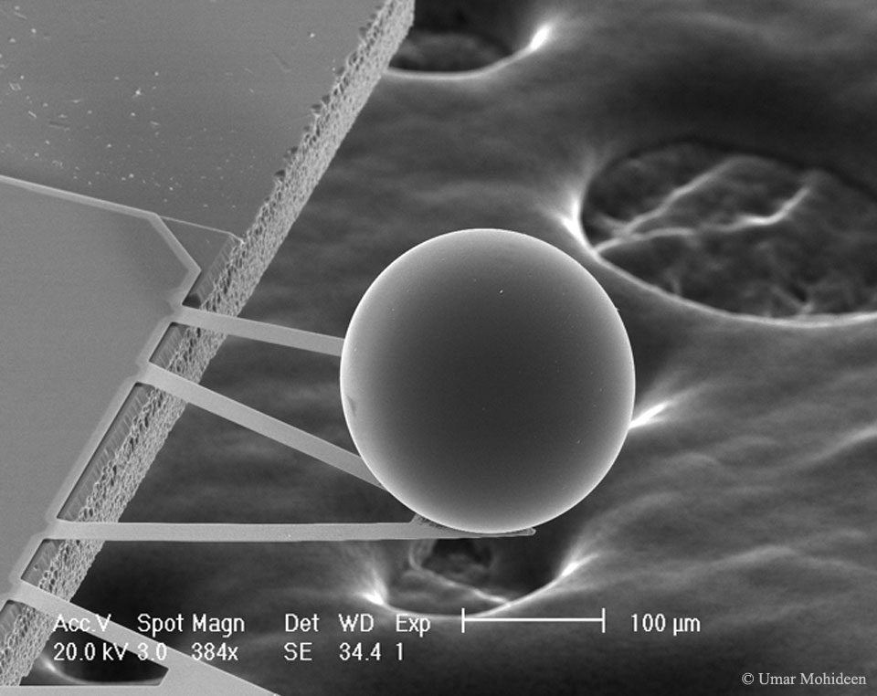A Force from Empty Space: The Casimir Effect