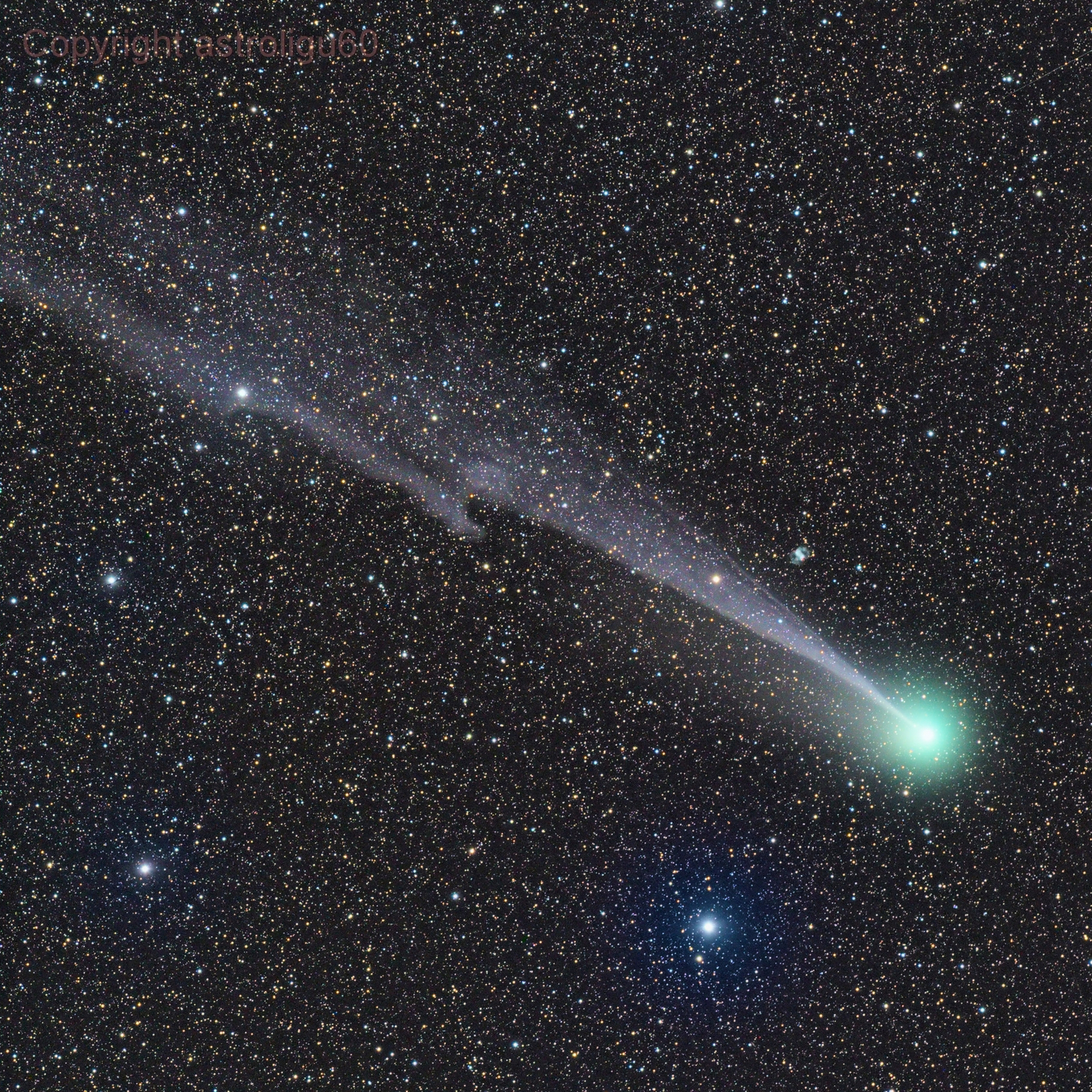 Long Lovejoy and Little Dumbbell