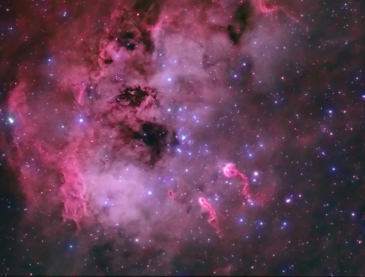 The Tadpoles of IC 410