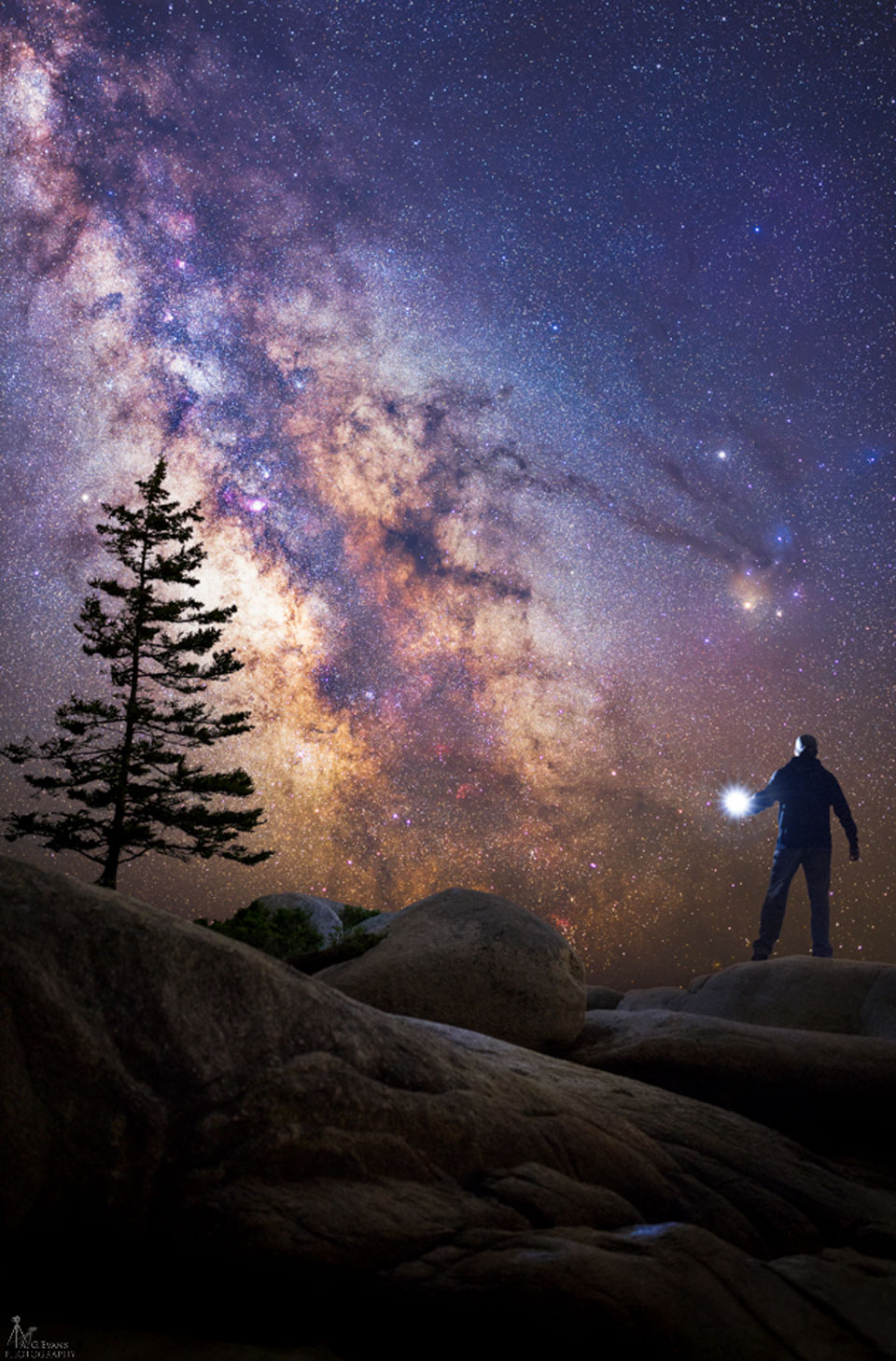 Behold the Universe