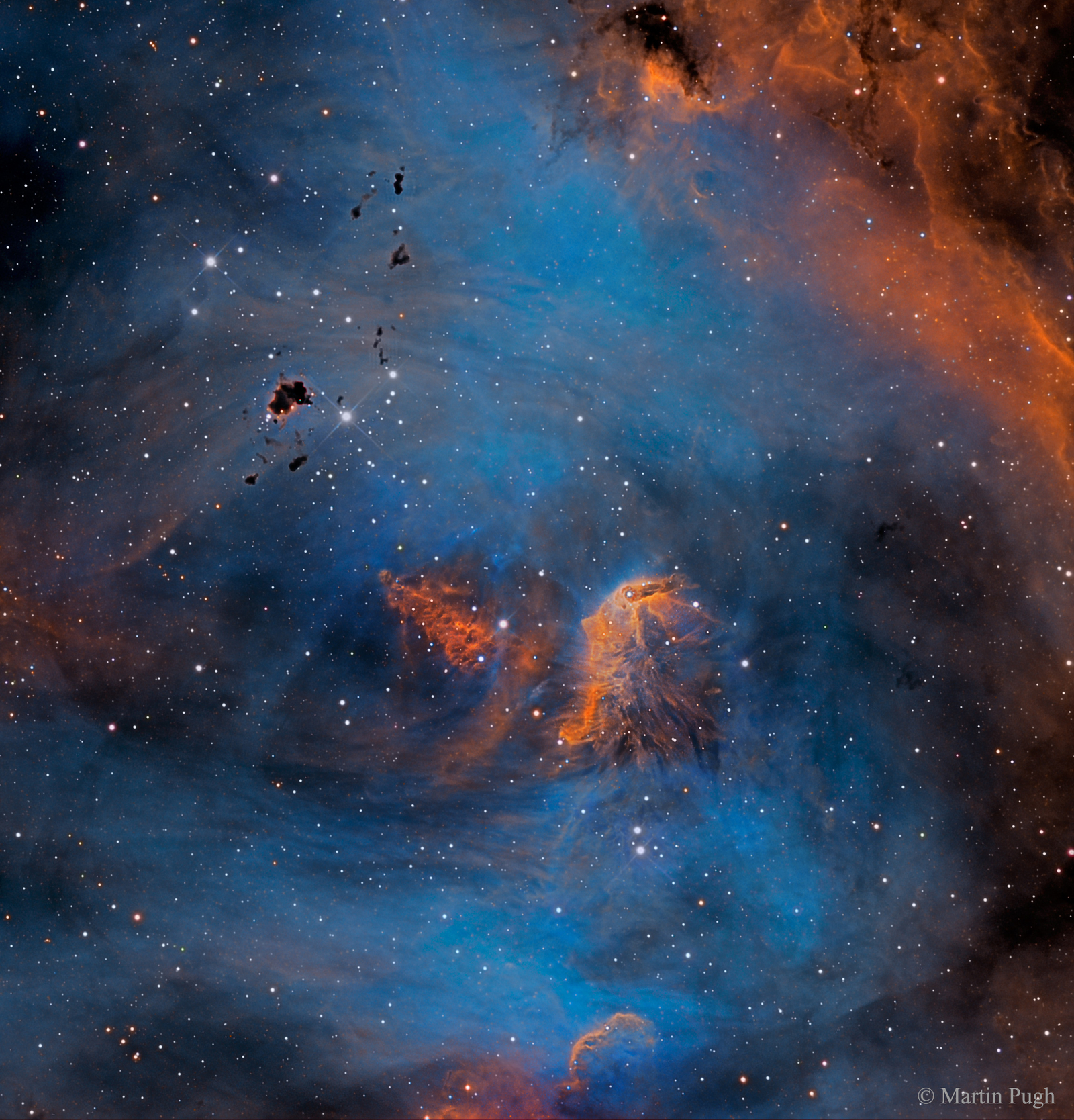 Stars and Globules in the Running Chicken Nebula