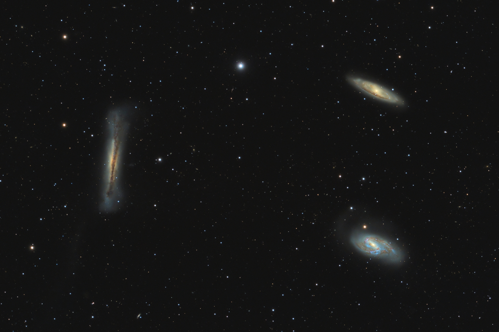 Leo Trio