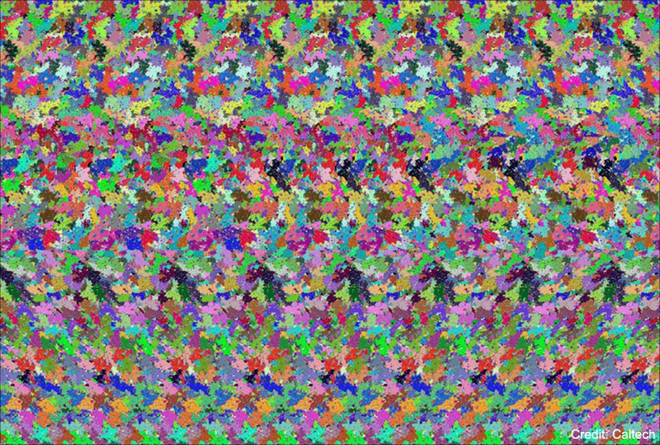 The Holographic Principle