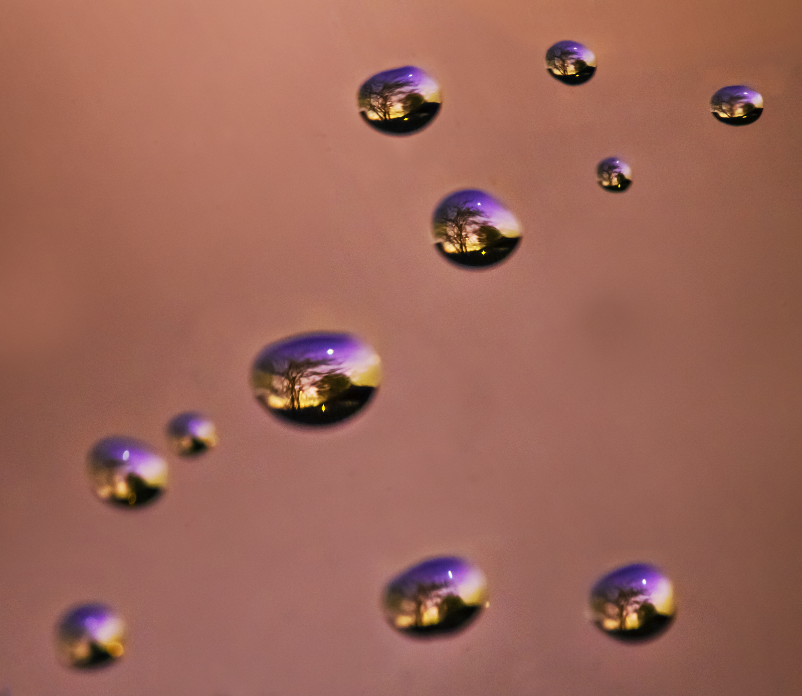 Venus Through Water Drops