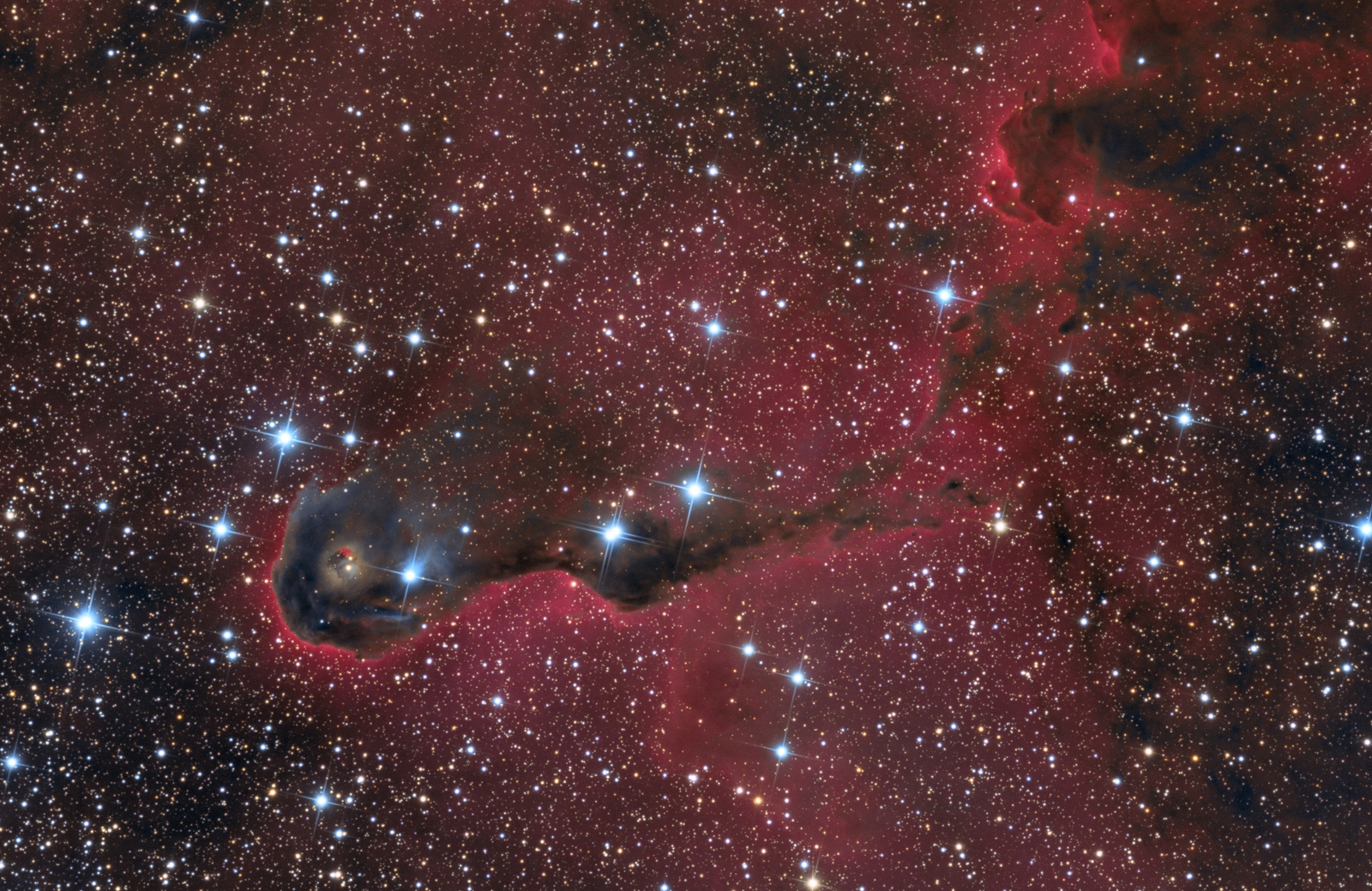 The Elephant's Trunk Nebula in Cepheus
